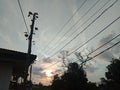 a shot of the evening sky along with beautiful silhouettes of dry trees and power lines. Royalty Free Stock Photo