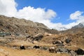 Shot from the Everest Basecamp trail in Nepal