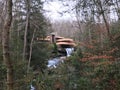 Shot of a Fallingwater surrounded by beautiful trees in a forest during daytime