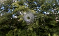 A shot from a firearm, a bullet-pierced room window