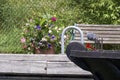 Shot of flowers, bench and a metal fence in a park Royalty Free Stock Photo