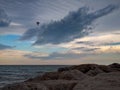 Shot of a flying bird on the skyscape and waterscape background, rocks on the shore