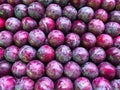 A shot of fresh prune plums at a farmers market