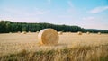 Freshly mowed field of wheat, on which lies straw rolled into large cylinders, on a sunny summer evening