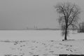 Shot of a frozen Lake Erie and the Cleveland skyline Royalty Free Stock Photo