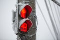 Shot of a frozen red traffic light with blue sky and electrical wires in background. Increase in the number of accidents Royalty Free Stock Photo