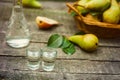 Shot glass with fruit alcohol drink Royalty Free Stock Photo