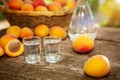 Shot glass with fruit brandy and apricots Royalty Free Stock Photo