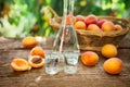 Shot glass with fruit brandy,bottle and apricots Royalty Free Stock Photo