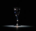 The shot glass of vodka stands in the dark on a light spot on a black background Royalty Free Stock Photo