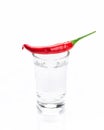 Shot glass of vodka and red chili pepper Royalty Free Stock Photo