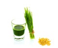 Shot glass of wheat grass with fresh cut wheat grass Royalty Free Stock Photo