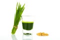Shot glass of wheat grass with fresh cut wheat grass and wheat g Royalty Free Stock Photo