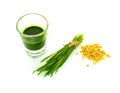 Shot glass of wheat grass with fresh cut wheat grass and wheat g Royalty Free Stock Photo