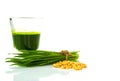 Shot glass of wheat grass with fresh cut wheat grass and wheat Royalty Free Stock Photo