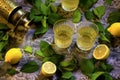 shot glasses filled with limoncello, surrounded by lemon leaves Royalty Free Stock Photo