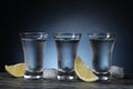 Shot glasses of vodka with lemon slices and ice on grey table Royalty Free Stock Photo