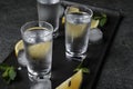 Shot glasses of vodka with lemon slices, mint and ice on grey table Royalty Free Stock Photo