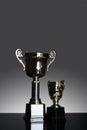 Shot of gold award trophy in gray background Royalty Free Stock Photo