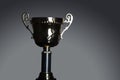 Shot of gold award trophy in gray background Royalty Free Stock Photo