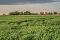 Shot of a greenfield with a church in the background and trees