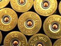 Shot gun shells Royalty Free Stock Photo