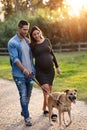 Happy pregnant couple looking their dog while walking in the park Royalty Free Stock Photo