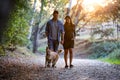 Happy pregnant couple looking their dog while walking in the park Royalty Free Stock Photo
