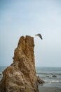 Shot of Huntington Beach Rock Royalty Free Stock Photo