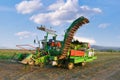 Shot of an industrial tomato picking machine working in the field on a sunny day. Royalty Free Stock Photo