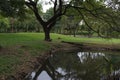 Some corner in rot fai park just before the rain