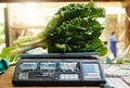 You can have as much as you want. Shot of kale on a scale at a farm. Royalty Free Stock Photo