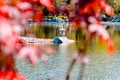 Shot of the lantern statue shot through the trees at the japanese garden in the Frederik Meijer Gardens Royalty Free Stock Photo