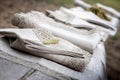 Shot of linen tablecloth and napkins with lace trim Royalty Free Stock Photo