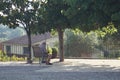 Shot of a lonely old man sitting on a chair in a park Royalty Free Stock Photo