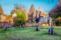 Shot of macaques and a zebu walking around a blooming park in India