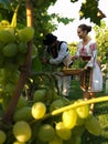 Shot of a male and a female wearing Moldovian traditional clothes at the time of grape harvesting