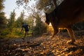 Shot of a male running and training with the dog Royalty Free Stock Photo