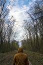 Man in the forest, people and nature, man alone in the forest, man walking on forest road, life road Royalty Free Stock Photo