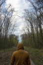 Man in the forest, people and nature, man alone in the forest, man walking on forest road, life road Royalty Free Stock Photo