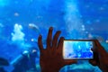 Shot of a man taking a snapshot of the fish in an aquarium
