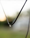 Shot of a metal wire, with water droplets suspended from its surface