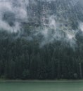 Misty Alpine forest above lake