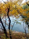 2019111003Ã¯Â¼Å¡Two of the autumn colors of Suzhou street behind Wanshou mountain, Summer Palace, Beijing, China