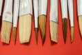 Shot of numerous types of paintbrushes laying on a red surface