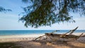 Shot of an old canoe boat under a tree on a sandy beach coast Royalty Free Stock Photo