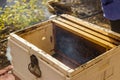 Shot of a open plastic bee hive. Farm