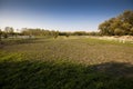 Shot of a paddock with two horses in the distance