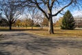 A shot of a park bench surrounded by fallen autumn leaves surrounded by gorgeous autumn colored trees at Centennial Park Royalty Free Stock Photo