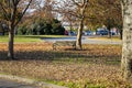 A shot of a park bench surrounded by fallen autumn leaves surrounded by gorgeous autumn colored trees and lush green grass Royalty Free Stock Photo